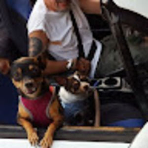 Meet your Posher, Cheryl